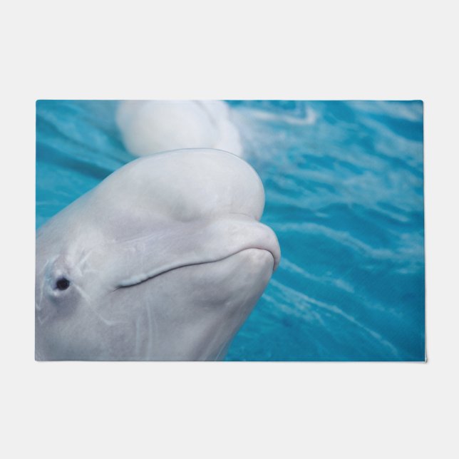 Niedliches Beluga-Wal-Tier Fußmatte (Vorderseite)