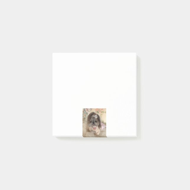 Niedliches benutzerdefiniertes Foto Post-it Klebezettel (Vorderseite)