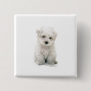 Niedliches Bichon Frise quadratisches Button
