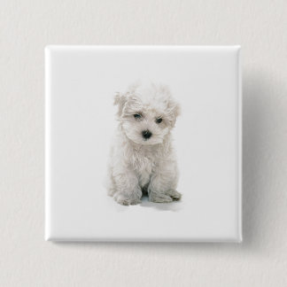 Niedliches Bichon Frise quadratisches Button