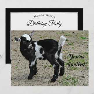 Niedliches Black and White Baby Goat Foto Geburtst Einladung