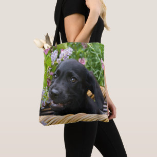 Niedliches Black Labrador Retriever Doppy Pet Foto