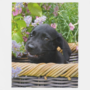 Niedliches Black Labrador Retriever Doppy Pet Foto Fleecedecke