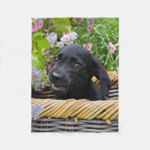 Niedliches Black Labrador Retriever Doppy Pet Foto Fleecedecke