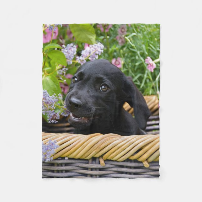 Niedliches Black Labrador Retriever Doppy Pet Foto Fleecedecke (Vorderseite)