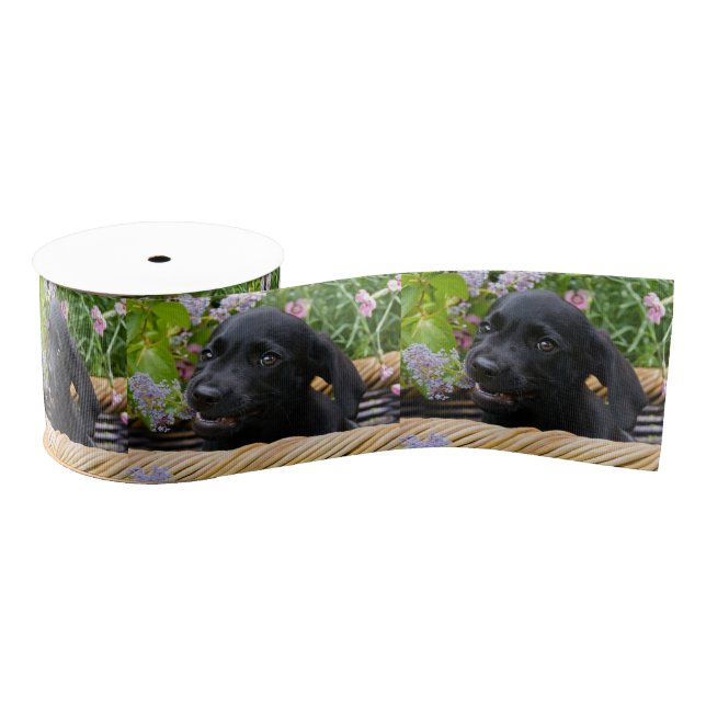 Niedliches Black Labrador Retriever Doppy Pet Foto Ripsband (Spule)