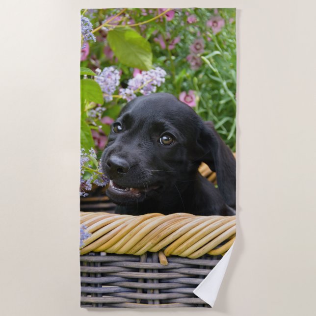 Niedliches Black Labrador Retriever Doppy Pet Foto Strandtuch (Vorderseite)