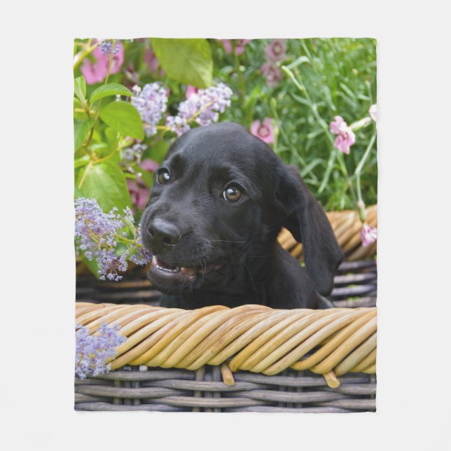 Niedliches Black Labrador Retriever Doppy Puppy Fo Fleecedecke (Vorderseite)