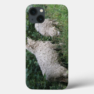 Niedliches Blätter für Schafe iPad Mini-Fall Case-Mate iPhone Hülle