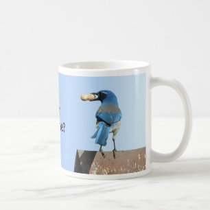 Niedliches Blau scheuert Jay-Vogel u. Erdnuss Tasse