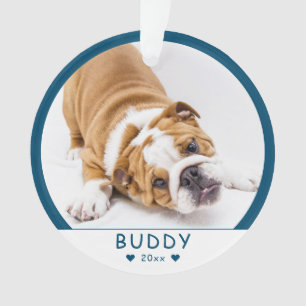 Niedliches blaues Hund- oder Heimtiergerät Foto Ornament