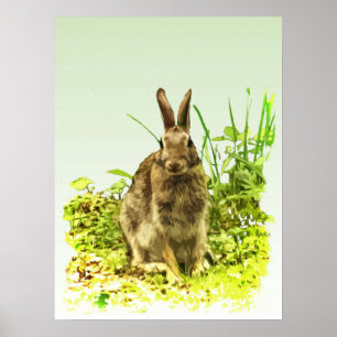 Niedliches braunes Kaninchen in grünem Grasplakat Poster