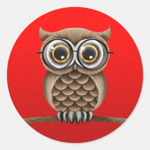 Niedliches, braunes Owl mit Leseglasche, rot Runder Aufkleber