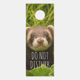 Niedliches Brown Ferret im Gras nicht stören Türanhänger