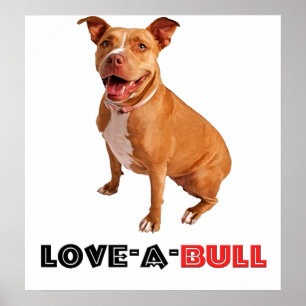 Niedliches Brown Pittie Liebe-ein-Stier Poster
