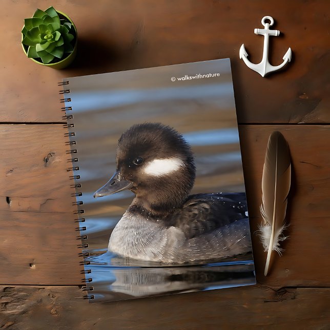 Niedliches Büffelköpfchen in sonnenbeleuchteten Ge Notizblock (Cute Bufflehead Duck on Sunlit Waters Journal Cover Photo)