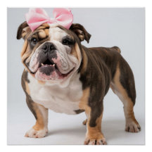 Niedliches Bulldog Doster Mauer