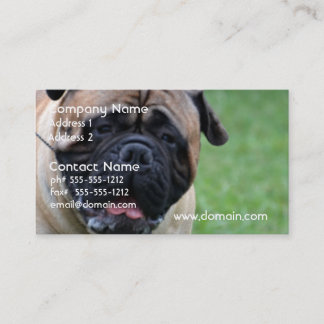 Niedliches Bullmastiff Visitenkarte