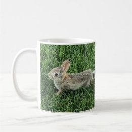 Niedliches Bunny Rabbit Pic Kaffeetasse