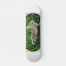 Niedliches Bunny Rabbit Skateboard