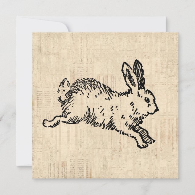 Niedliches Bunny Rabbit Vintage Illustration Scrip Karte (Vorderseite)