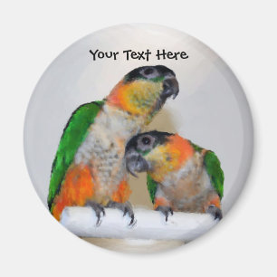 Niedliches Caique Parrot Pair Animal Magnet