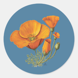 Niedliches California Poppy Blume Vintag Aufkleber