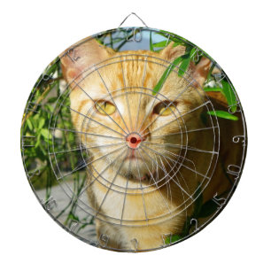 Niedliches Cat Dartboard! Dartscheibe