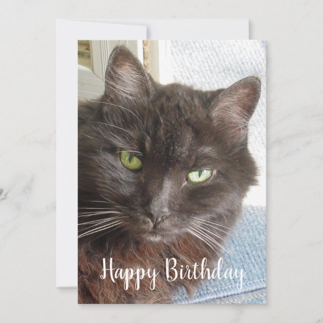 Niedliches Cat Foto Happy Birthday Flat Card (Vorderseite)