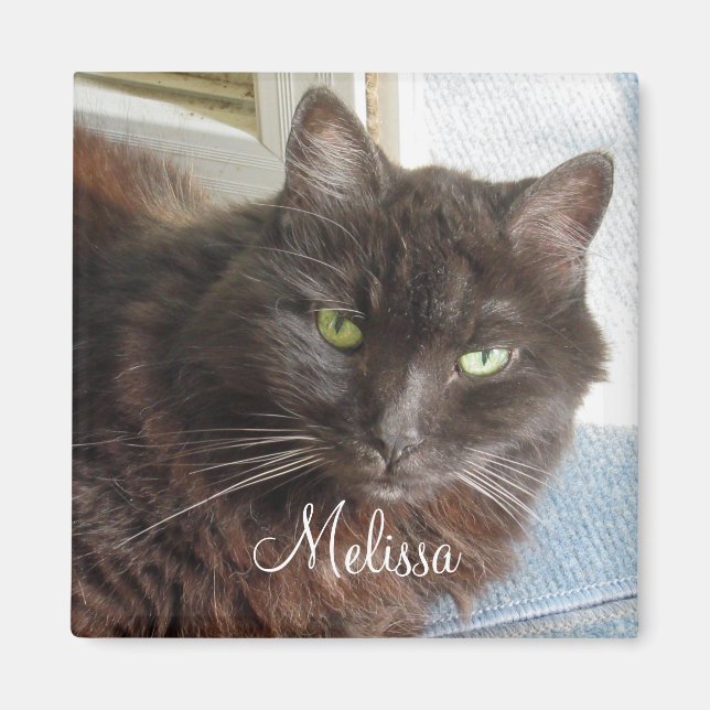 Niedliches Cat Foto Personalisiert White Script Magnet (Vorne)
