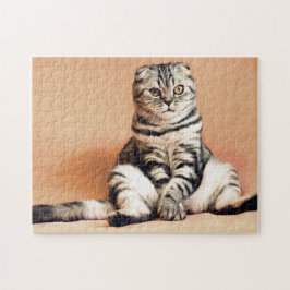 Niedliches Cat-Foto Puzzle
