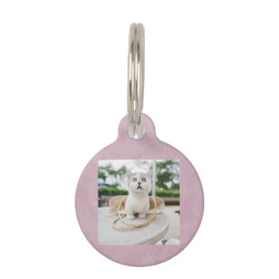 Niedliches Cat-Foto und QR-Code   Pink Cat Pet ID  Haustiermarke