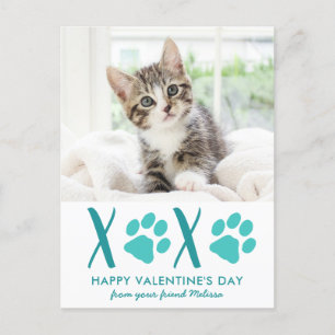 Niedliches Cat Pet Foto Valentine XOXO Urlaubskart Feiertagspostkarte