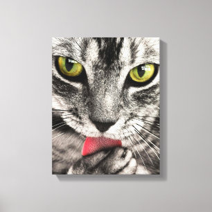 Niedliches Cat Portrait Canvas Print Leinwanddruck