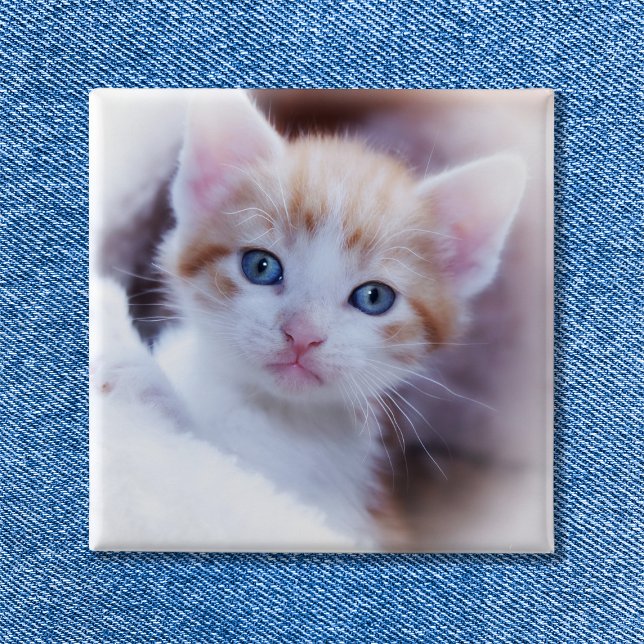 Niedliches Cat Square Foto Button (Cute Family Cat Square Photo Button)