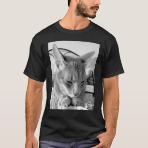 Niedliches Cat-Zeug für Katzen Mädchen Frauen Jung T-Shirt