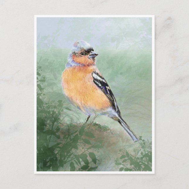 Niedliches Chaffinch, Watercolor Bird Collection Postkarte (Vorderseite)
