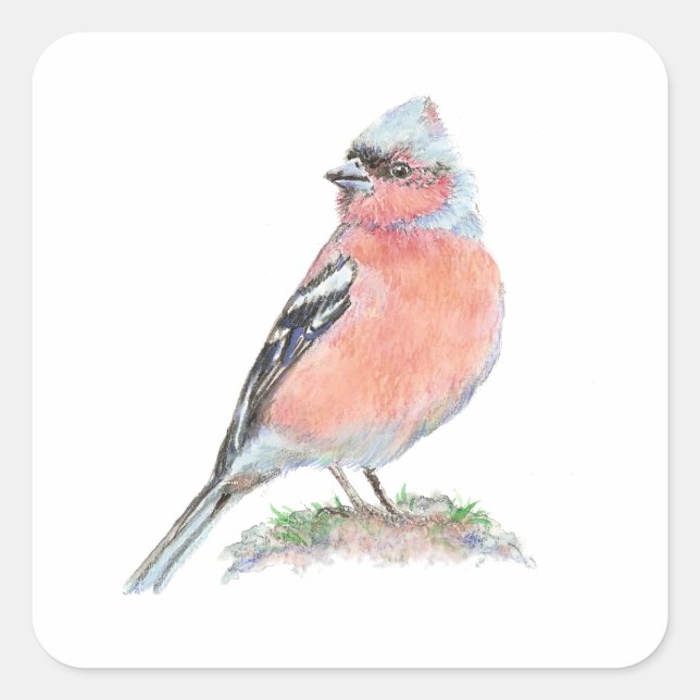 Niedliches Chaffinch, Watercolor Bird Collection Quadratischer Aufkleber (Vorderseite)
