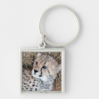 Niedliches Cheetah-CUB-Foto Schlüsselanhänger