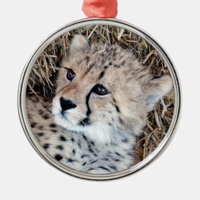 Niedliches Cheetah-CUB-Foto Silbernes Ornament (Vorne)