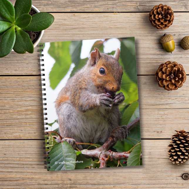 Niedliches Cherry Picking Eastern Gray Eichhörnche Notizblock (Cherry Picking Eastern Grey Squirrel Journal Cover Photo)