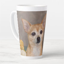 Niedliches Chihuahua Hund Portrait Floral Pet Desi
