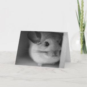 Niedliches Chinchilla Karte