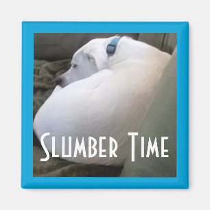 Niedliches Chubby White Sleeping Puppy Doppy Slumb Magnet