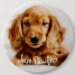 Niedliches Cockerspaniel-HundeAbzeichen/-Button Button