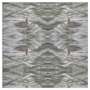 Niedliches Coot Chick auf Choppy Waters Gemustert  Stoff