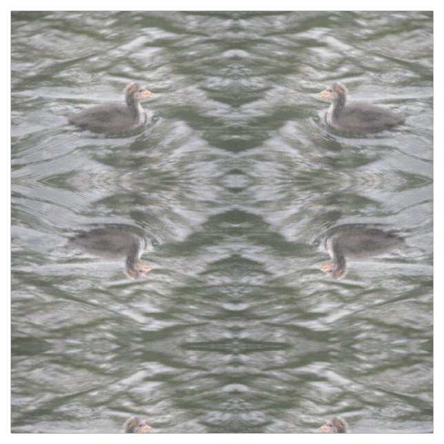 Niedliches Coot Chick auf Choppy Waters Gemustert  Stoff (Muster)