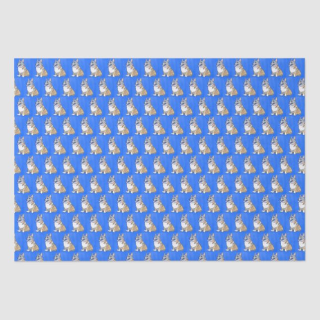 Niedliches Corgi Dog Muster auf blauem Hintergrund Seidenpapier (Vorderseite)