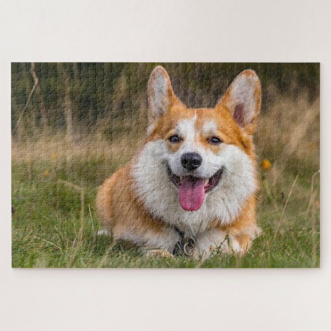 Niedliches Corgi-Hund-Foto Puzzle (Horizontal)