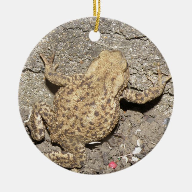 Niedliches Crawling Toad Custom Geburtstag Keramik Ornament (Vorne)